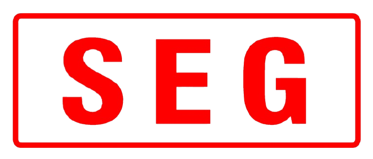 SEG._CO.__LTD.-removebg-preview